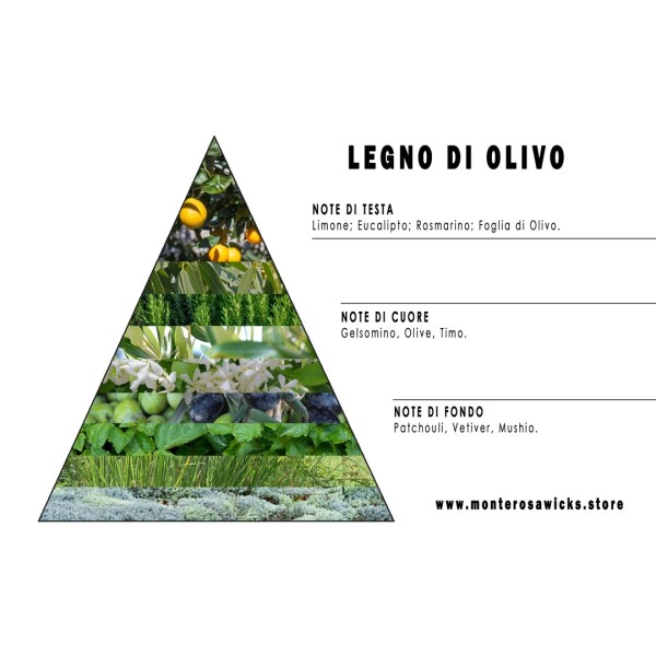 Legno di Olivo