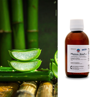 Aloe Vera e Bamboo – fragranza per candele | Monterosa Wicks
