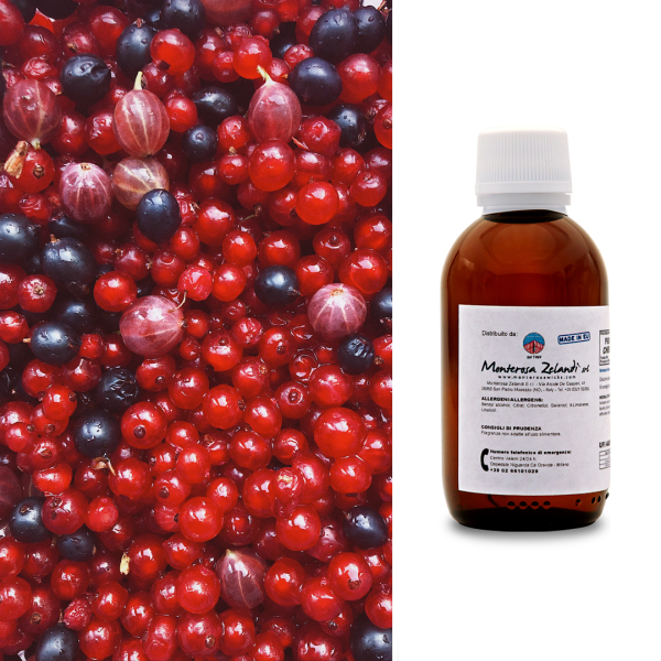 Frutti Rossi – fragranza per candele | Monterosa Wicks