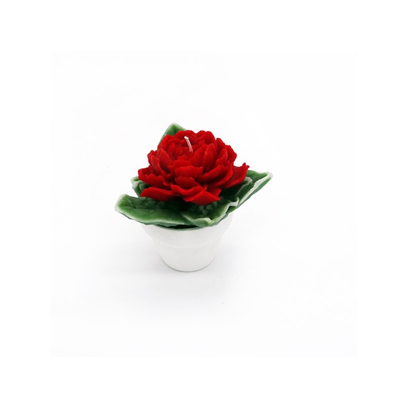 Vasetto con peonia Vasetto con peonia