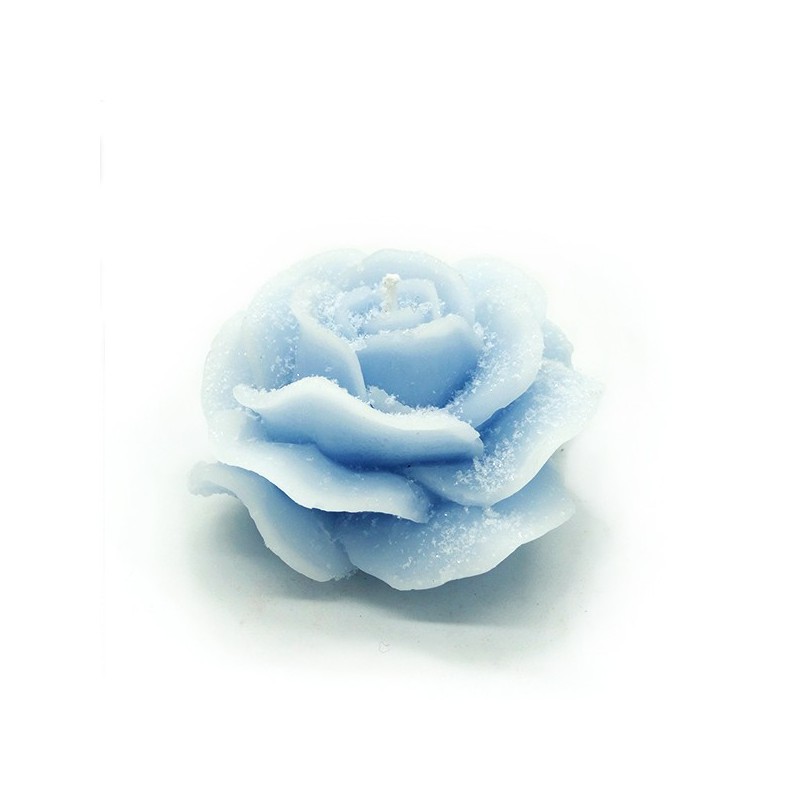 Rosa innevata Rosa innevata