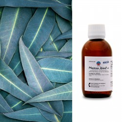 Eucalypto