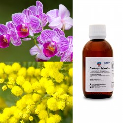 Orchidea e mimosa