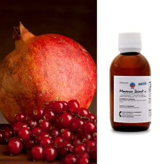 Currant & pomegranate