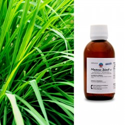 Citronella Java Essential Oil