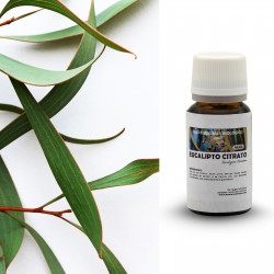 Organic eucalyptus (10ml)