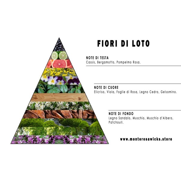 Flor de loto