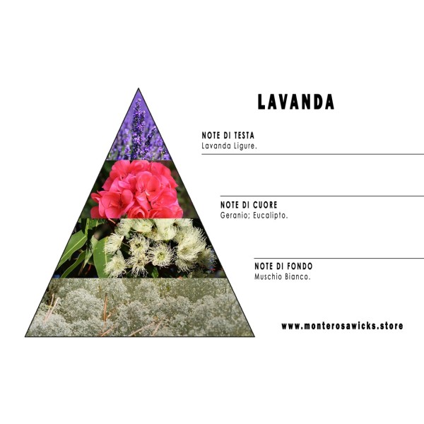 Lavanda