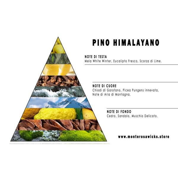Pino del Himalaya