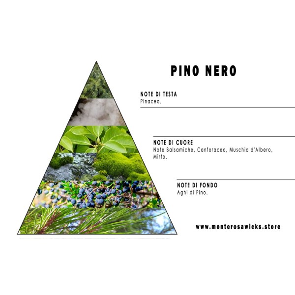 Pino nero
