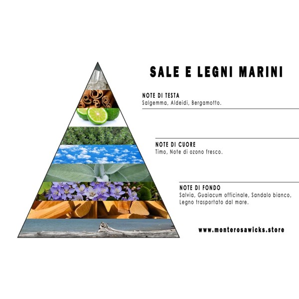 Sal y maderas del mar